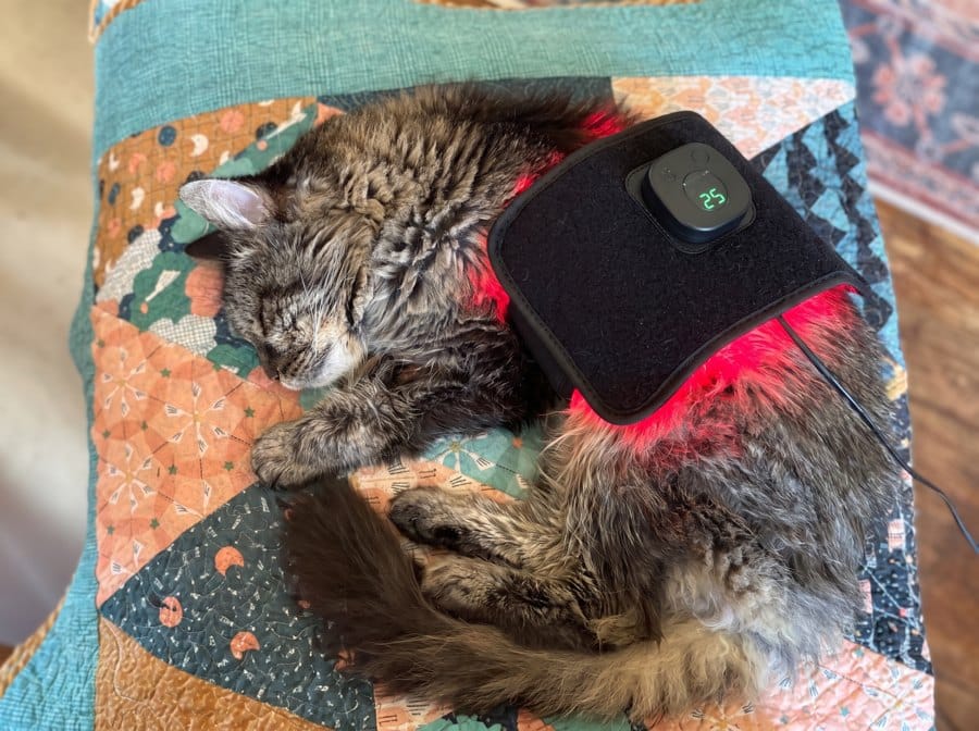 Customer photo review of Vetalux™ para gatos