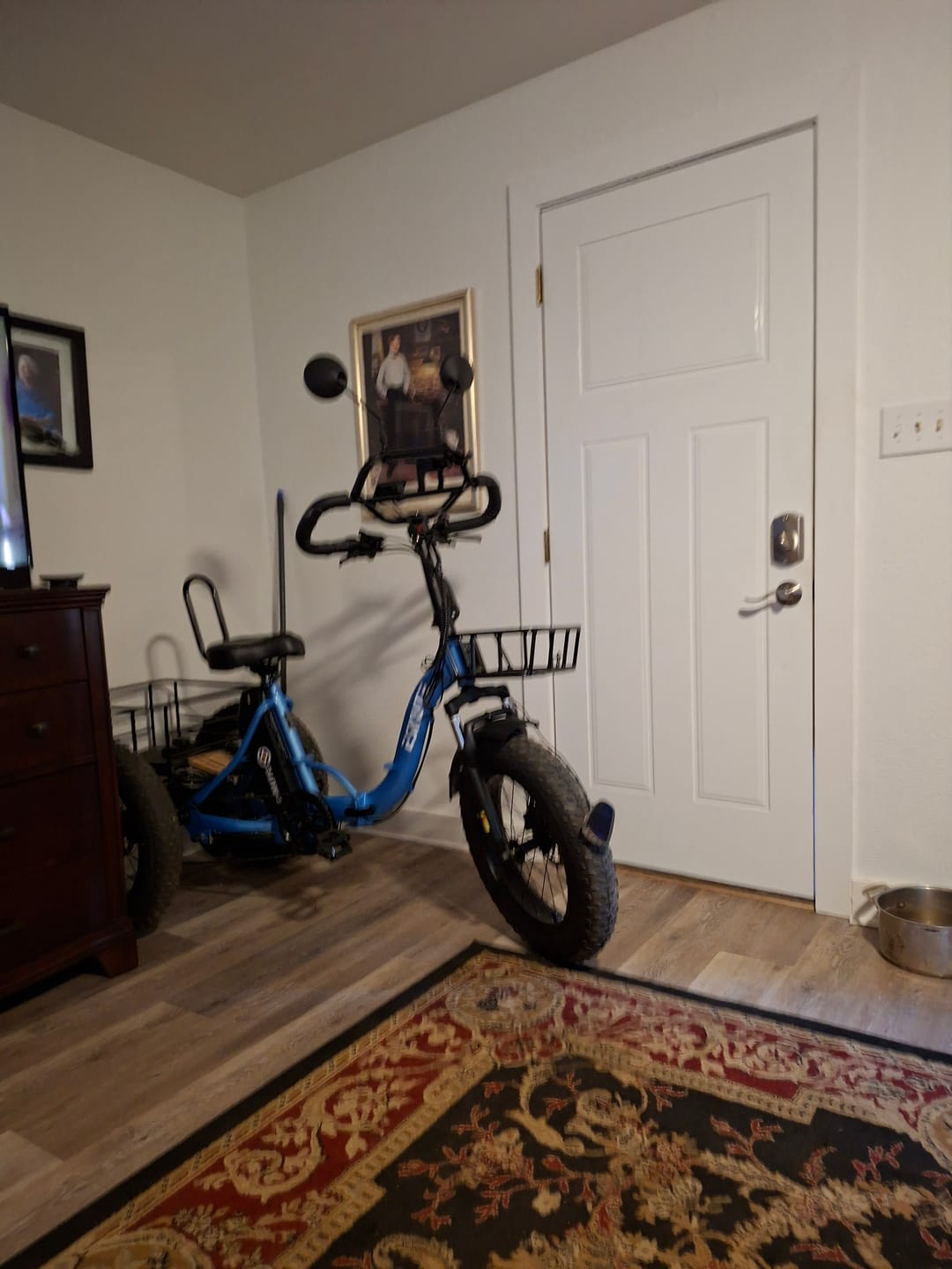Customer photo review of Eskute® T300 Pro Folding Electric Trike with One-Button Reverse