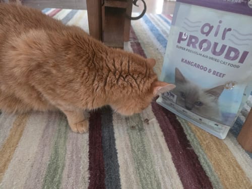 Customer photo review of Kangaroo & Beef Air Dried for Cats