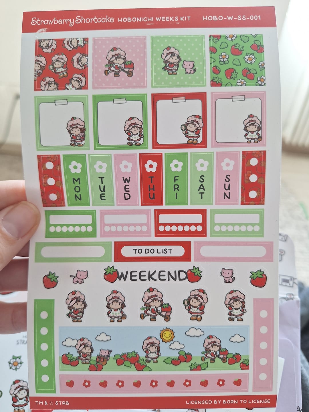 Customer photo review of Strawberry Shortcake Hobonichi Weeks Kit