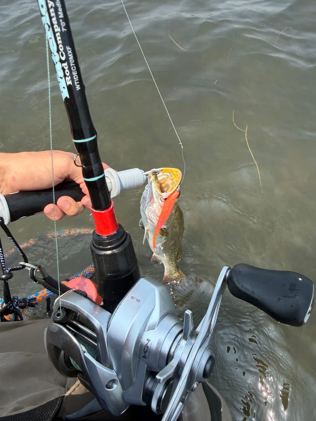 Customer photo review of Waterloo Tide Series