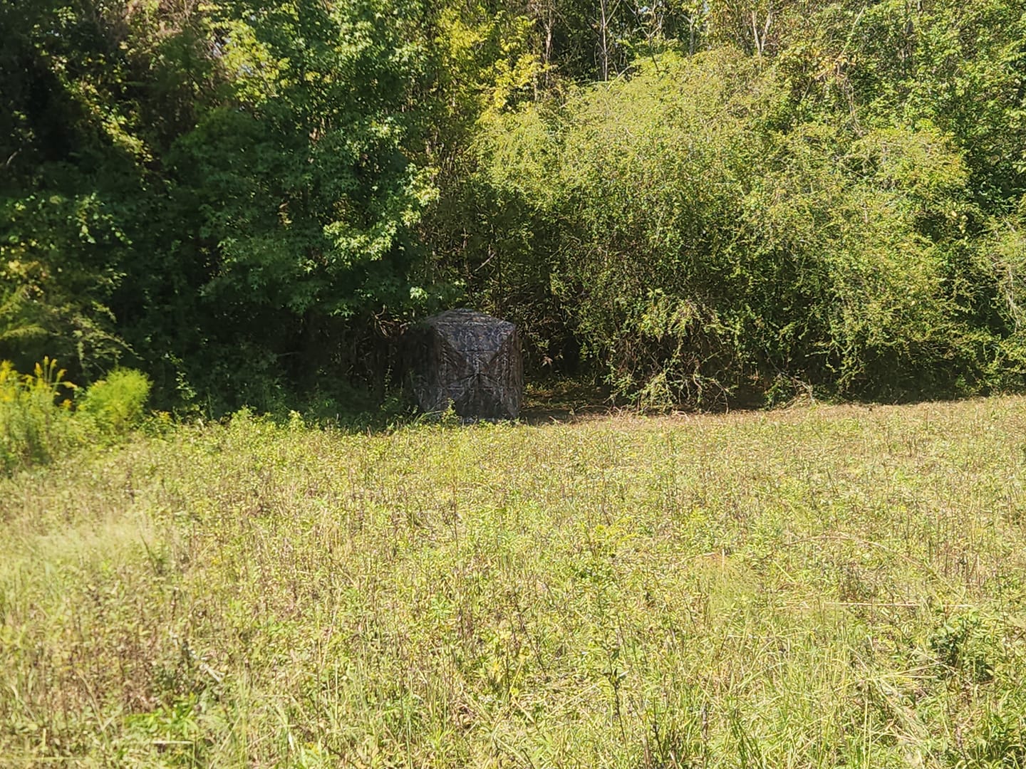 Customer photo review of VisTall 360 See-Through Ground Blind | 75-Inch 3 Person Pop Up Deer Blind with No-Trip Door | Portable Camo Hunting Blind with Blackout Curtain for Whitetail Deer Hunting