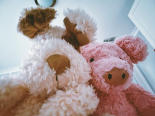 Customer's pink Barnabus Pig plush toy sitting next to another fluffy plush toy