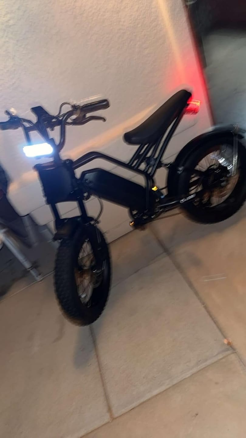 Customer photo review of Eskute V300 Plus 48V 41.6Ah Dual Battery Electric Bike for Adults