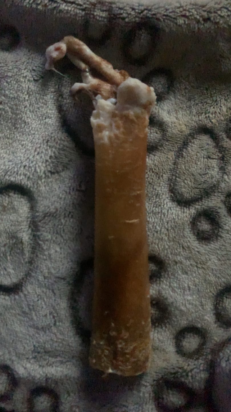 Customer photo review of 5-6 Inch Champion Chew