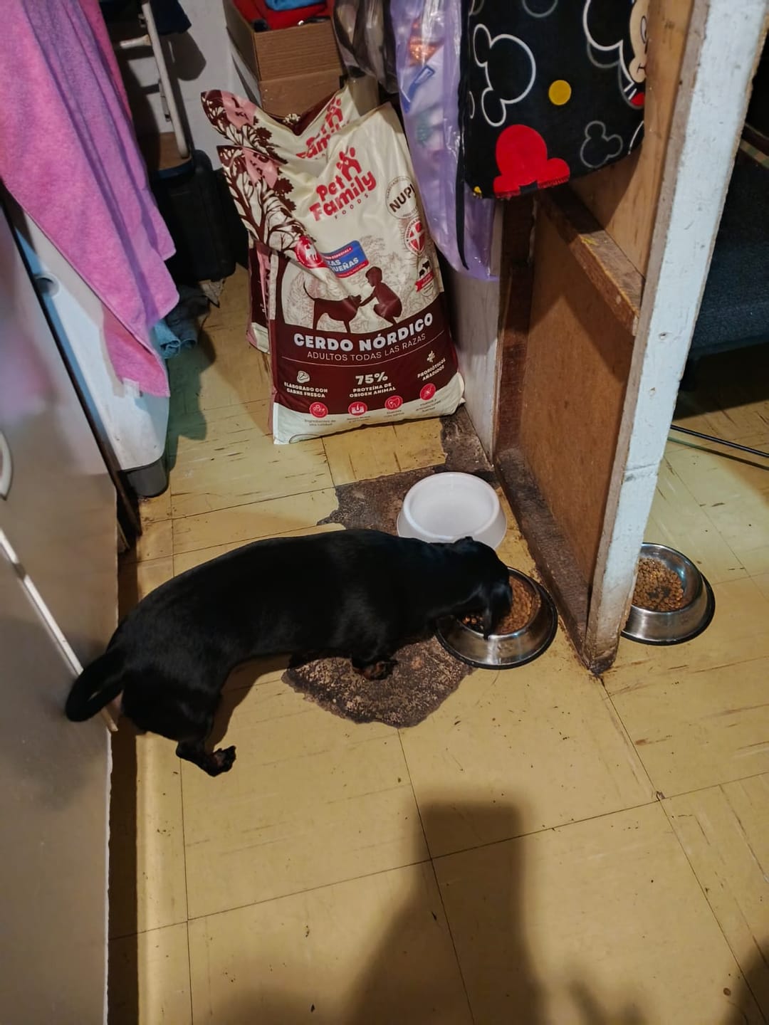 Customer photo review of PetFamily Foods Cerdo Nordico