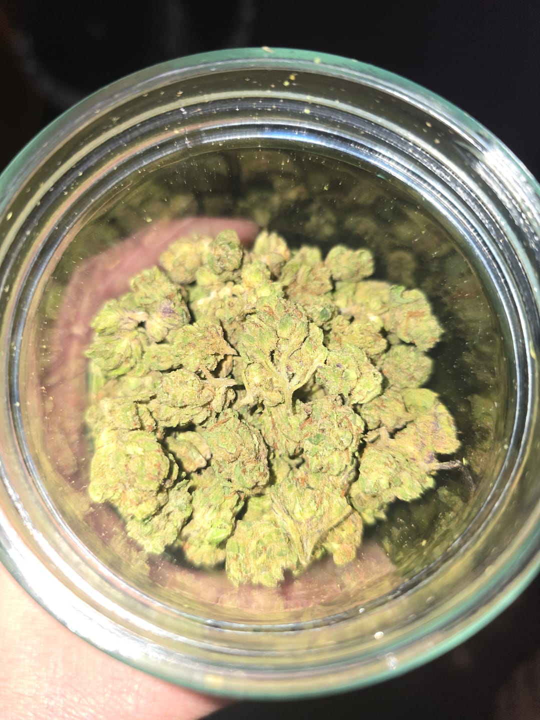 Customer photo review of THCa Greenhouse Smalls