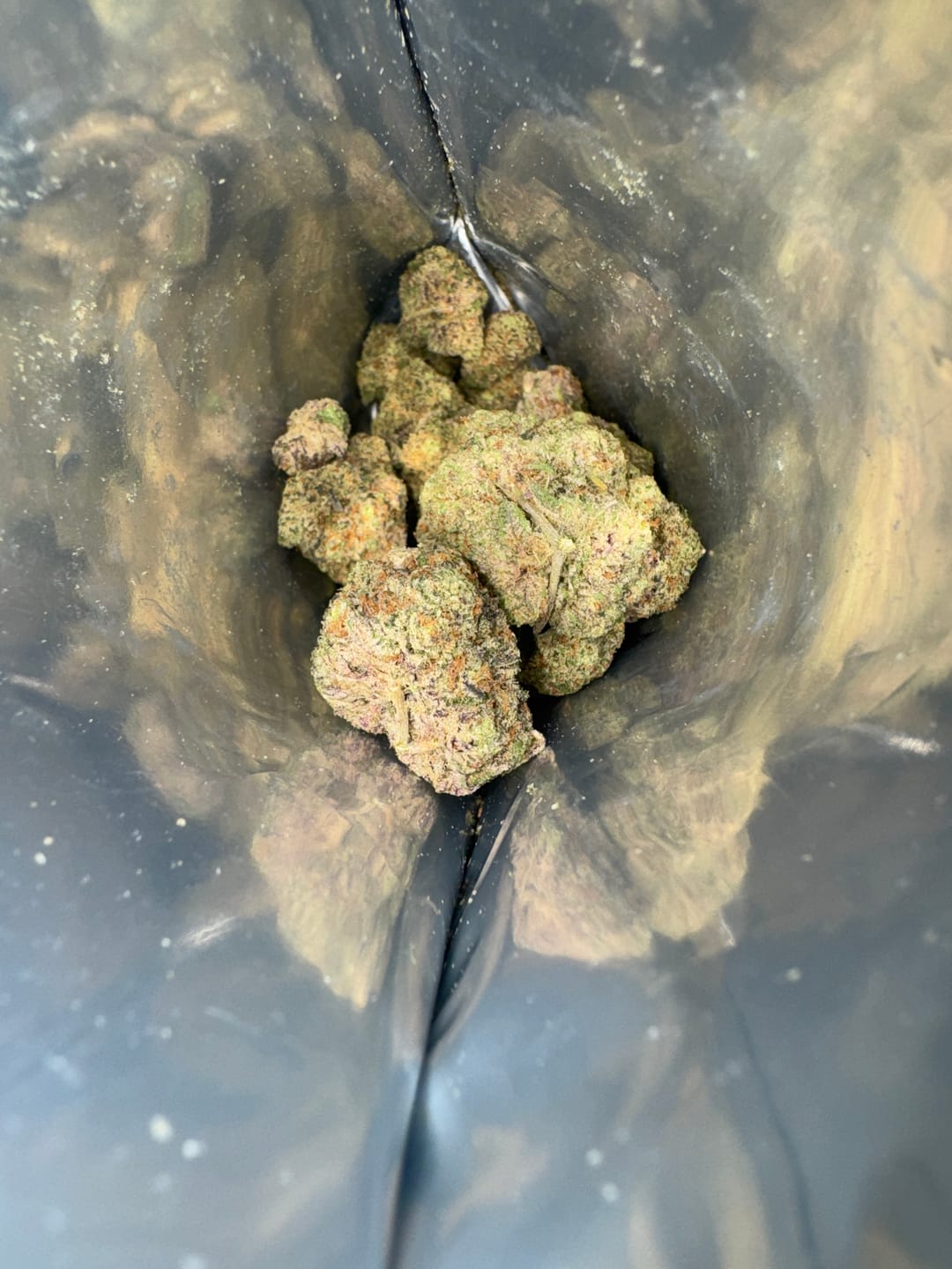 Customer photo review of Cheap Indoor THCA Flower