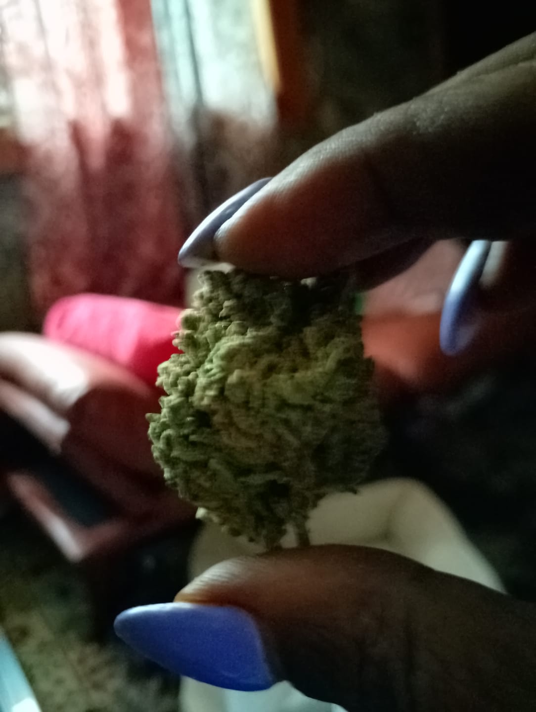 Customer photo review of Puffaroo - Blueberry Headband - 28 Grams - Hybrid
