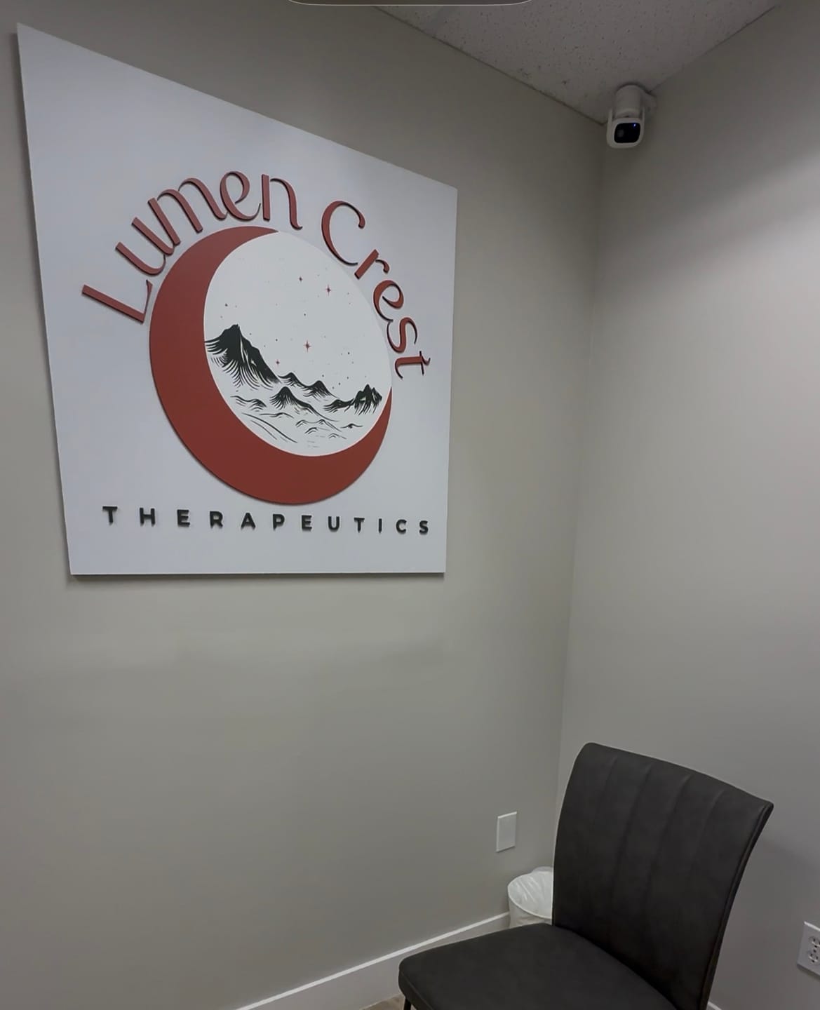 Customer photo review of Custom Rectangular Indoor 3D Logo Sign (S1)