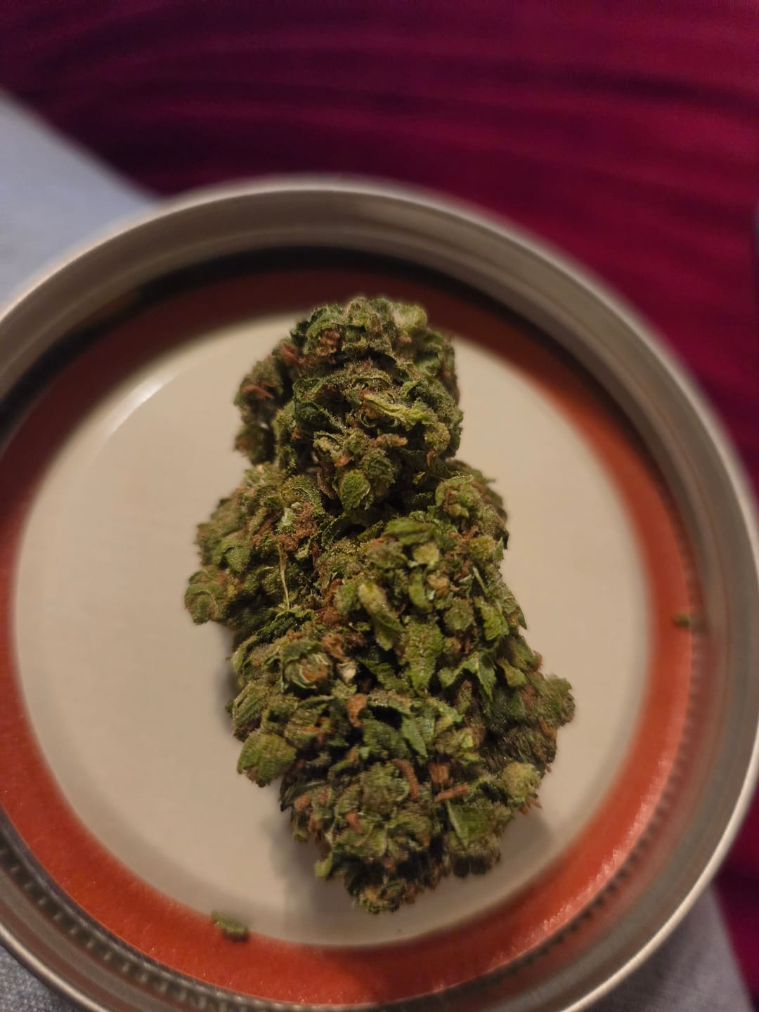 Customer photo review of Super Jack Greenhouse THCA Quarter Pound (1/4 LB)
