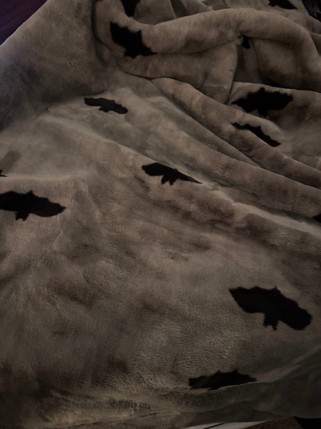 Customer photo review of Lush Bats Blanket
