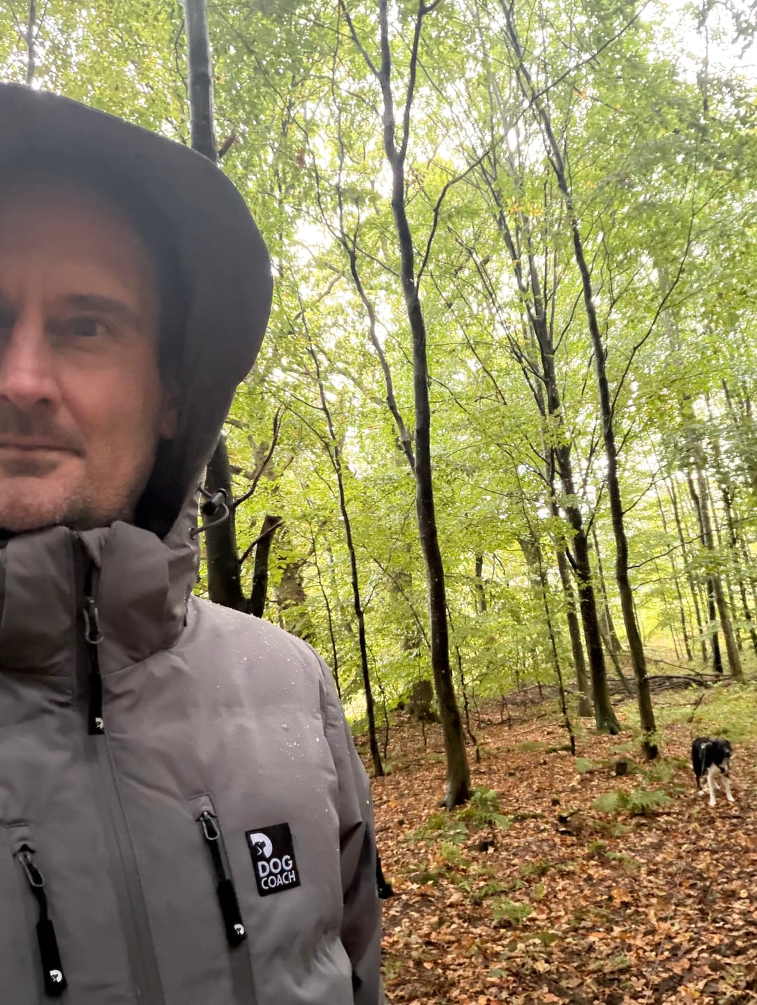 Customer photo review of Allround bukser | Normal længde | Bison | Peanut I Herre