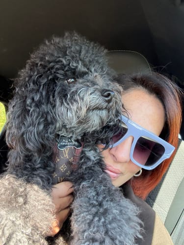 Customer photo review of Pettorina e guinzaglio Louis Pawtton