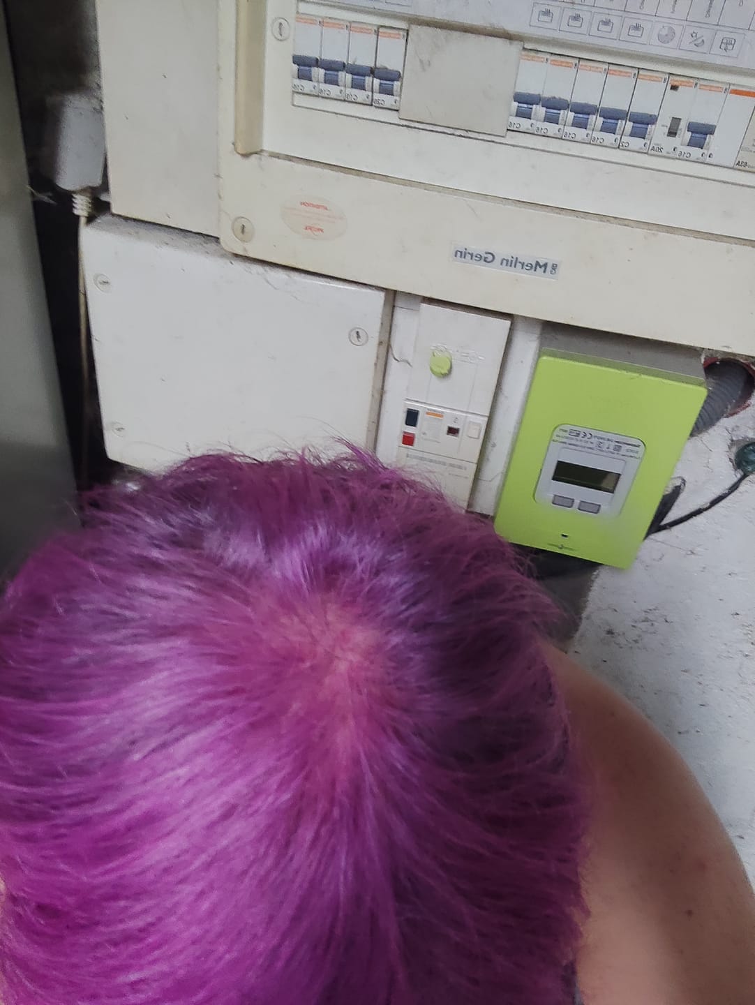 Customer photo review of Mattie Special Pink - Vegan Semi-Permanent Direct Dye Hair Color Cream 210 ml