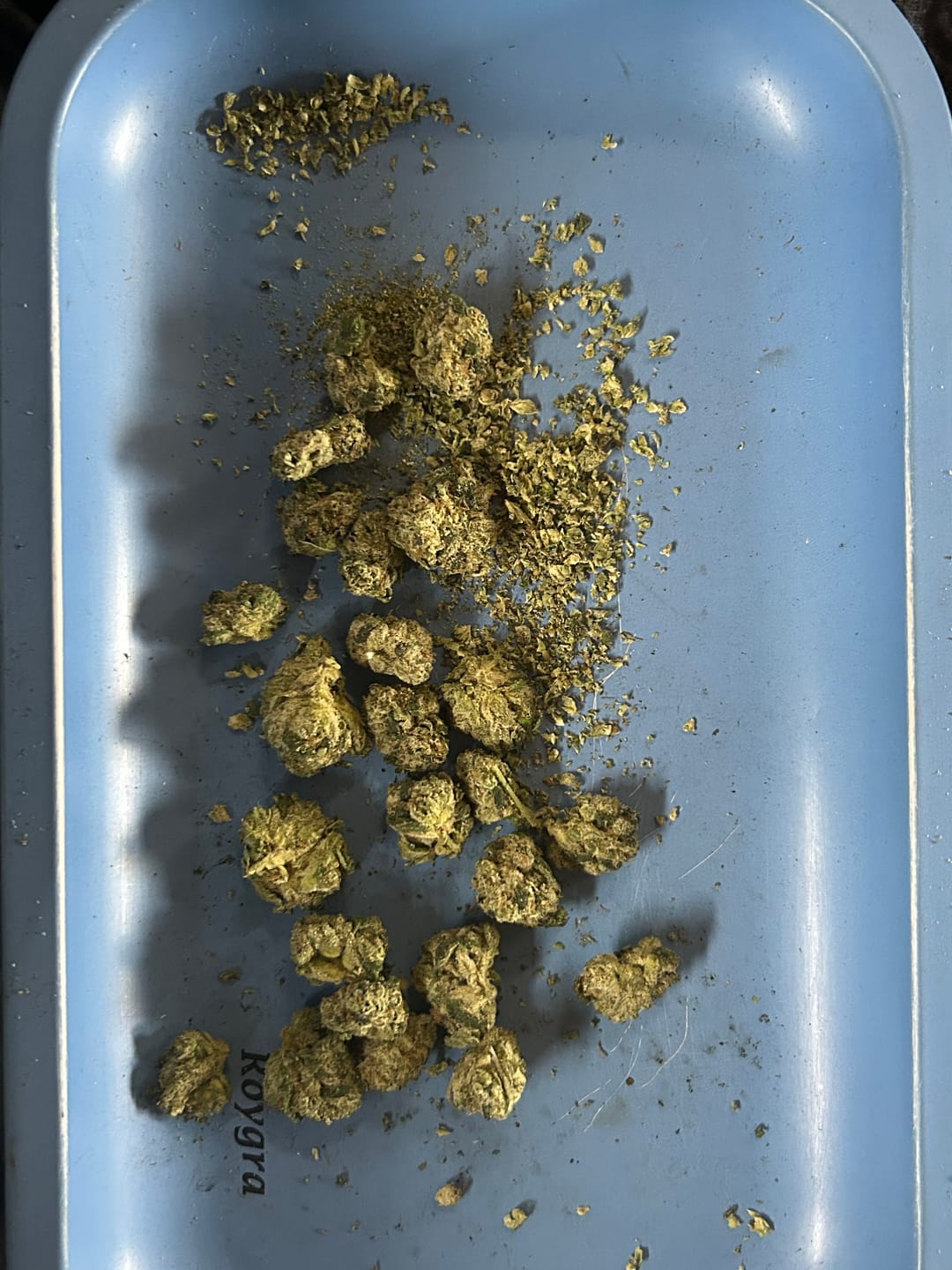 Customer photo review of Larry OG Smalls THCA Flower (Exotic)
