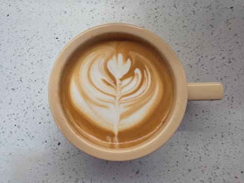 Customer's Brazil Santos coffee in a tan mug, featuring an intricate white fern latte art design.