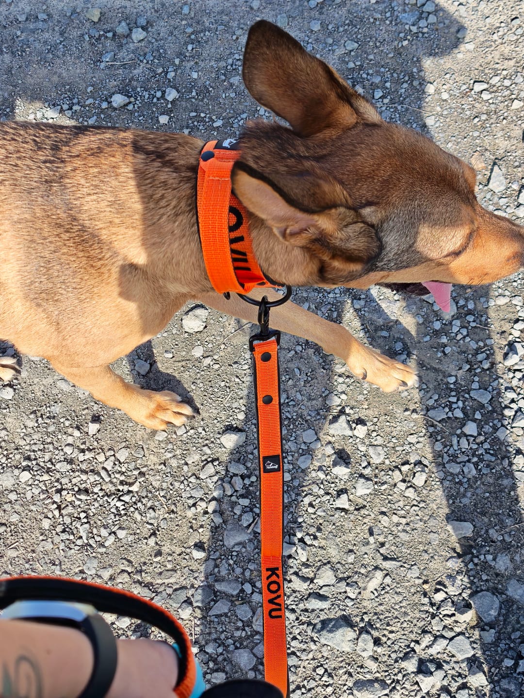 Customer photo review of Extreme Buckle med namn