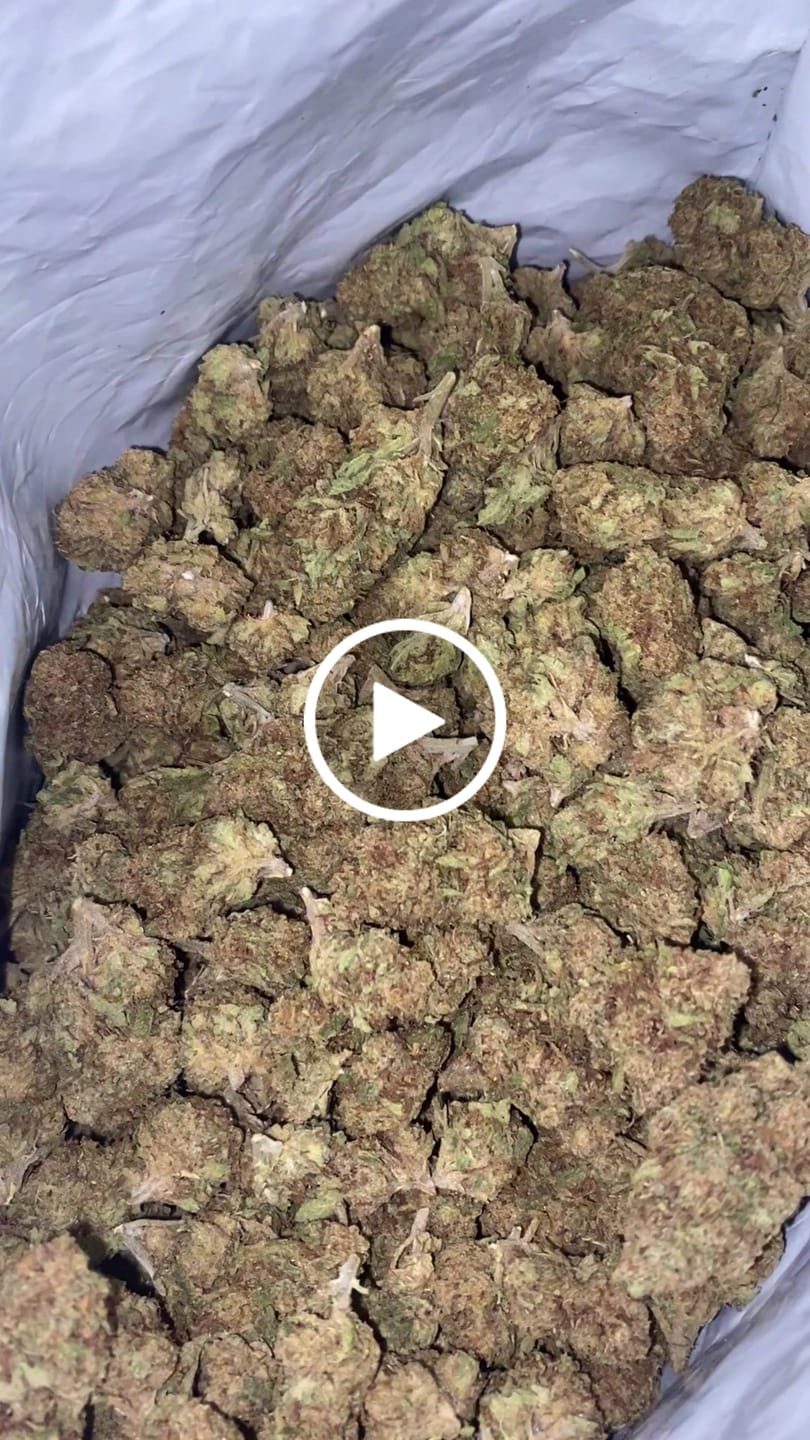 Customer video review of Cheap THCA Smalls Quarter Pound