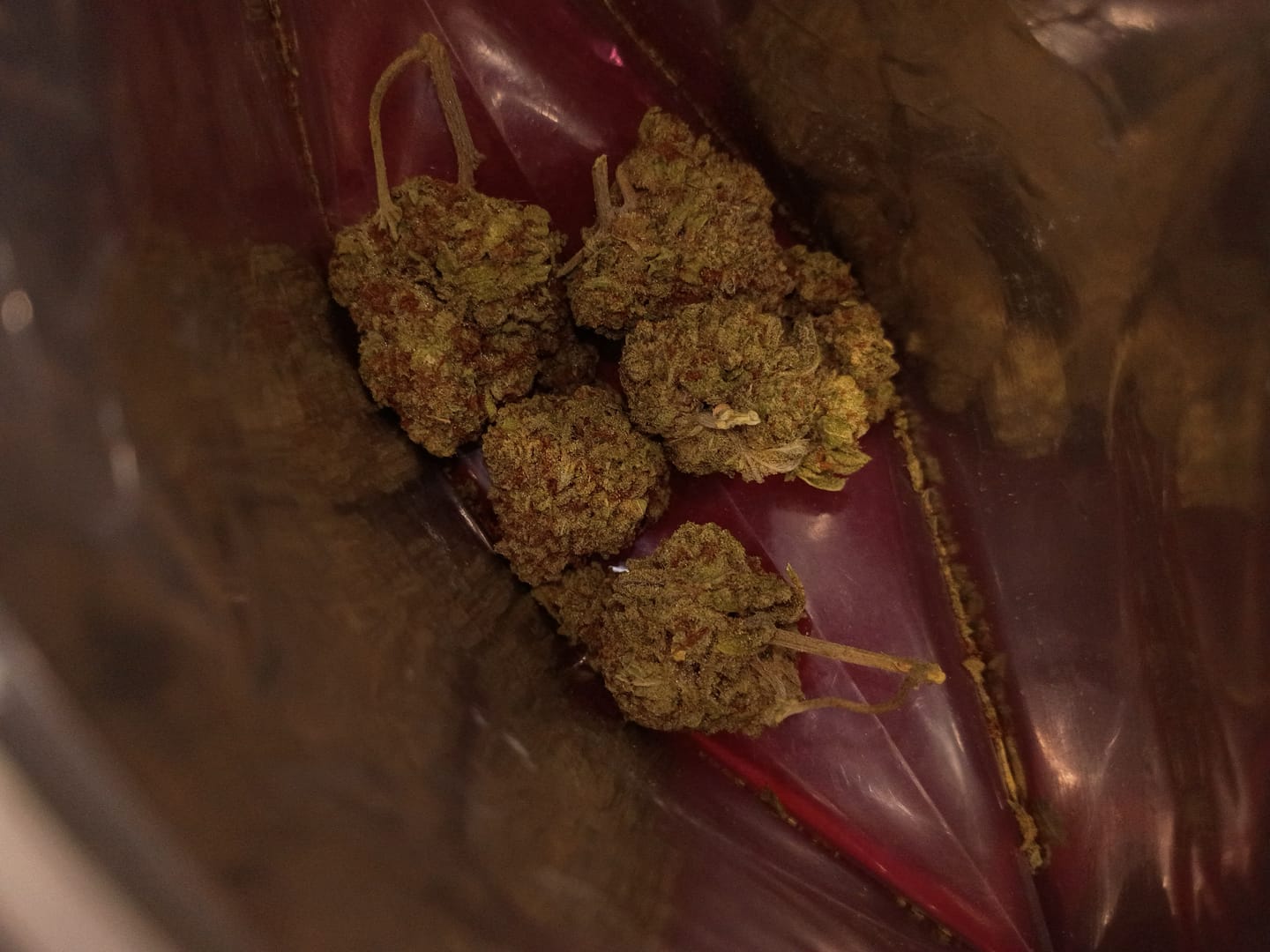 Customer photo review of Panama Red THCA Flower