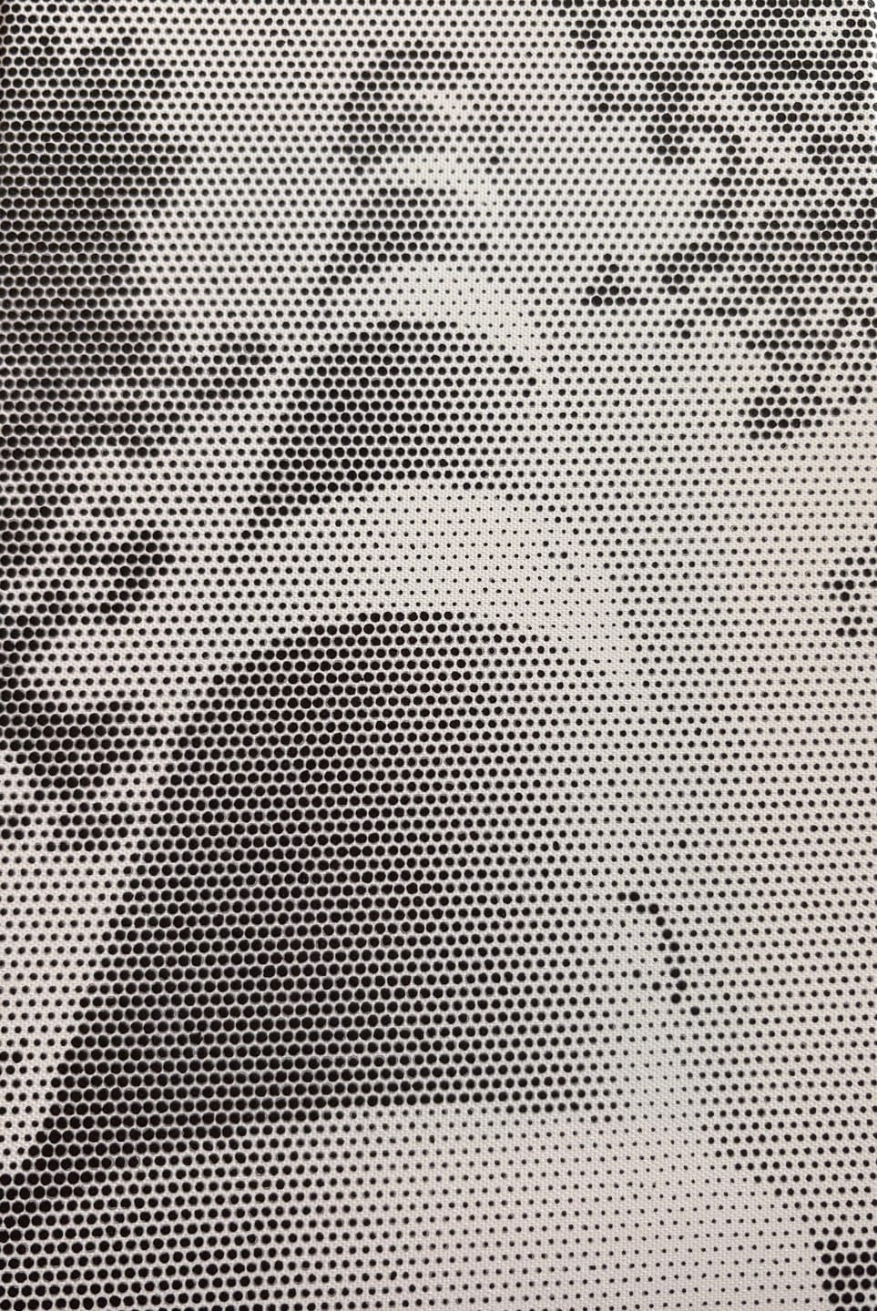 Customer photo review of Dot painting van eigen foto - gemaakt in Nederland
