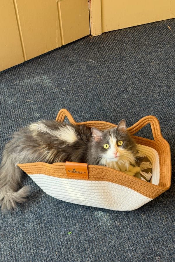 Customer photo review of Vyroon Wohlfühlnest™