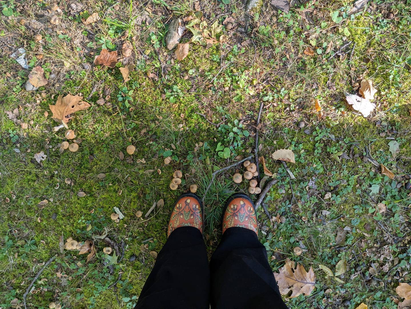 Customer photo review of Salamander Gaze Boots