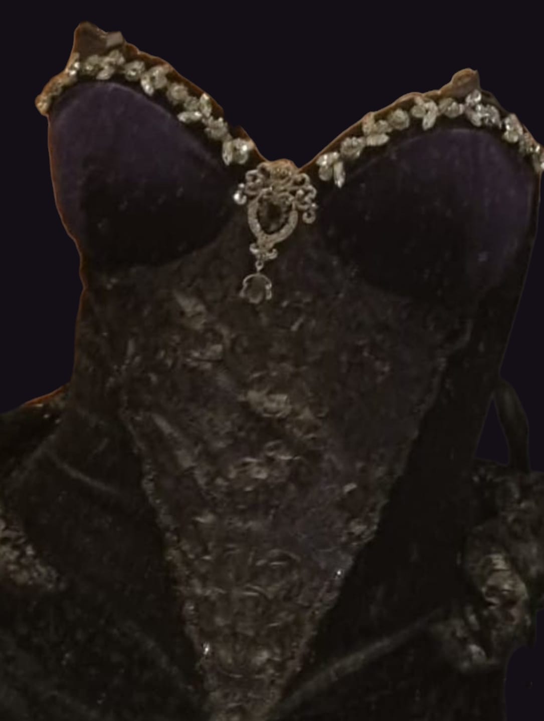 Customer photo review of Blood Supply Moon Funeral Crystal Velvet Corset