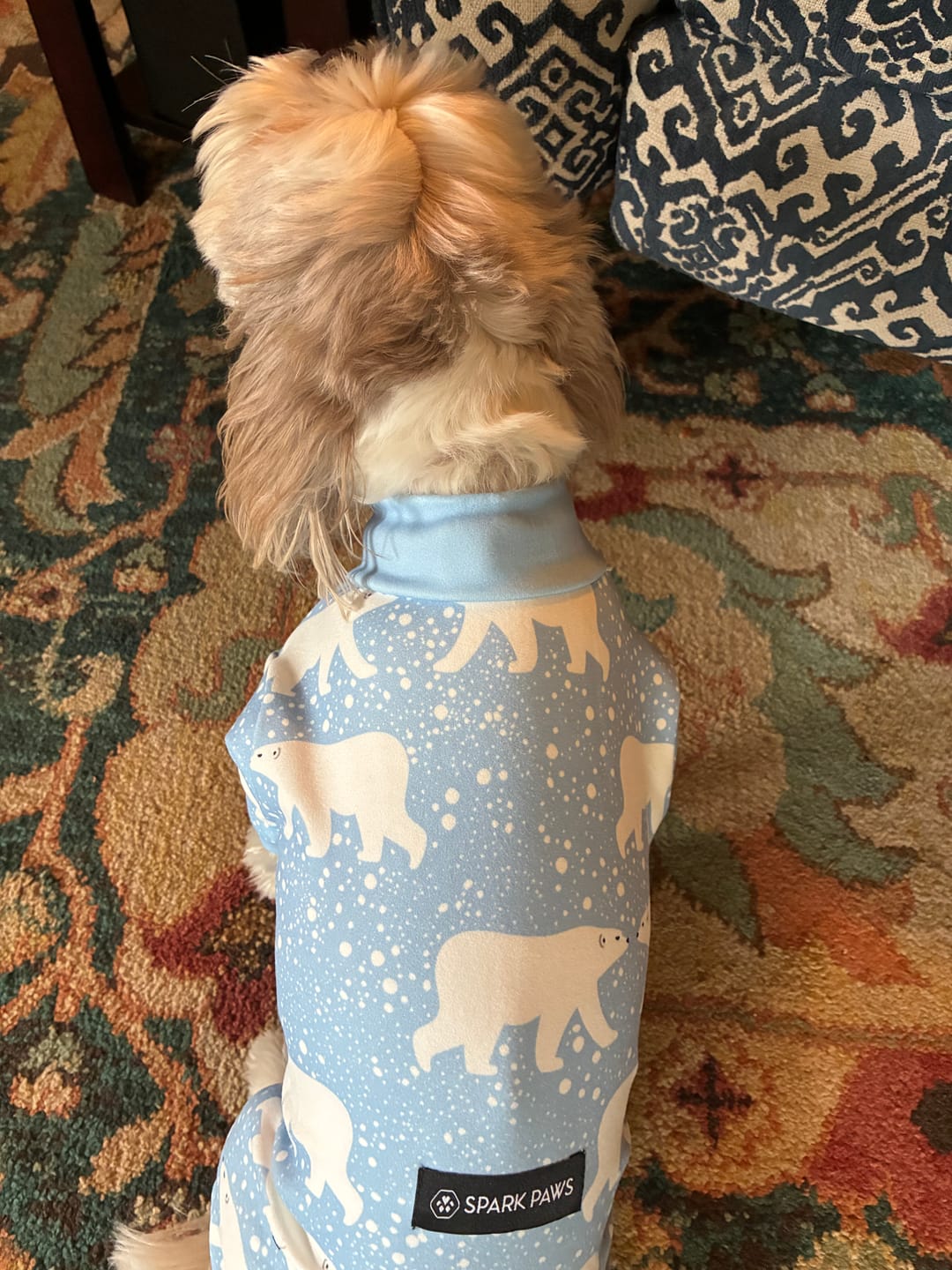 Customer photo review of Dog Pajama - Snowy Polar Bear