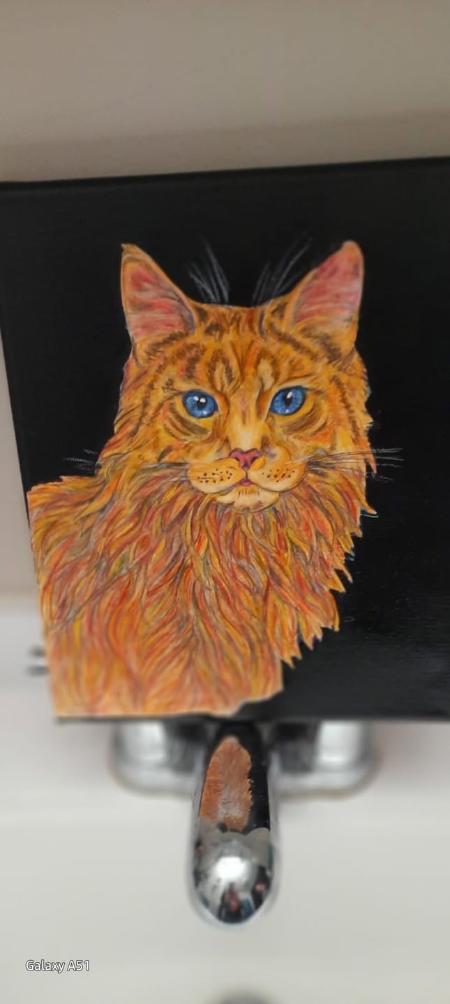 Customer photo review of Ohuhu Halawa Series Oil-based Colored Pencils
