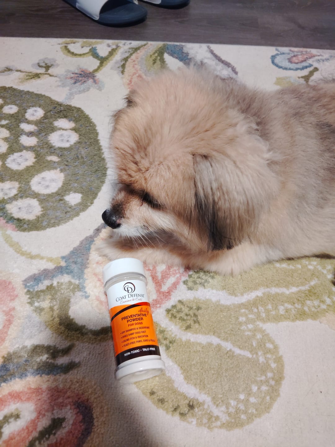 Customer photo review of Daily Preventative Powder