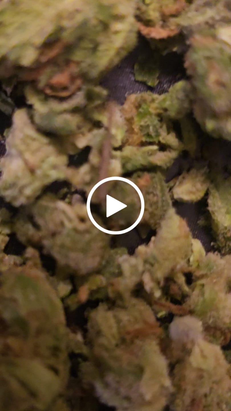 Customer video review of LITTLES BRAND - Blue Dream - Littles - 28 Grams - Sativa