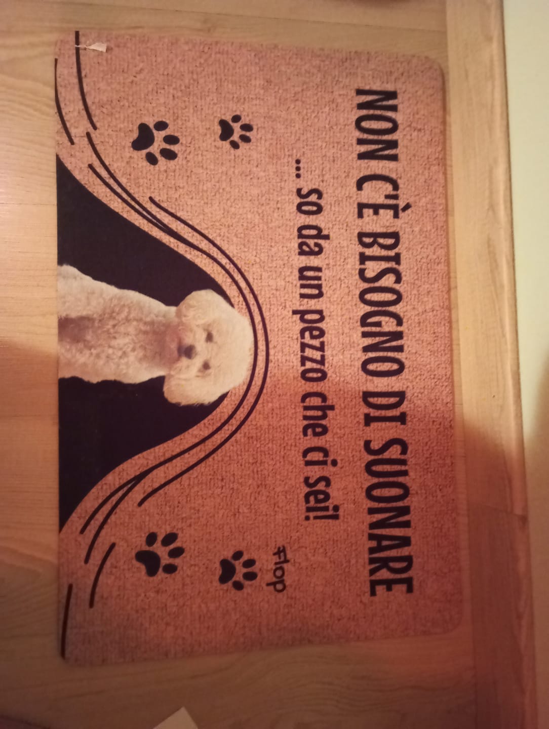Customer photo review of Non c'è bisogno di suonare - Zerbino personalizzato