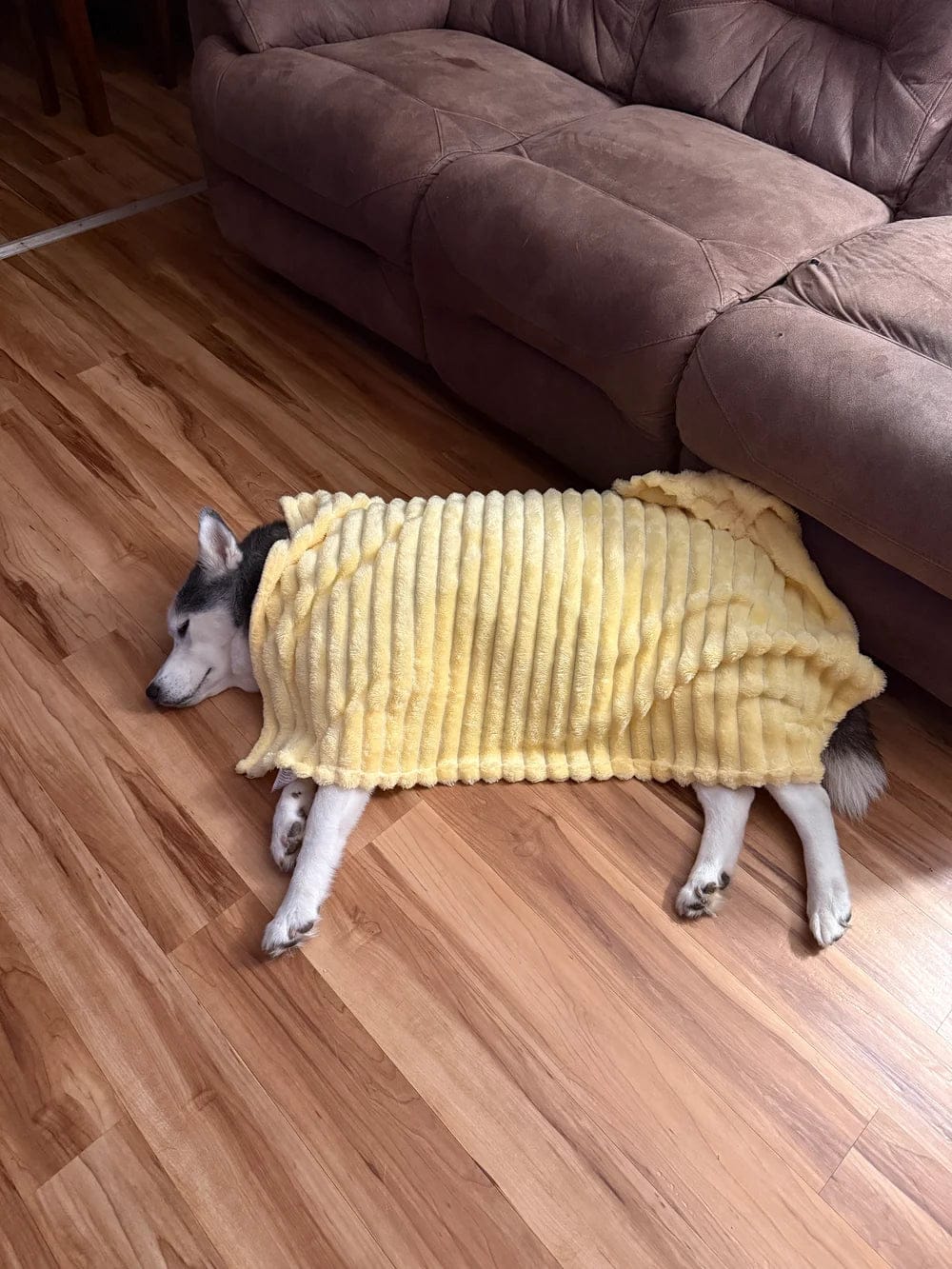 Customer photo review of Emotional Support Blanket