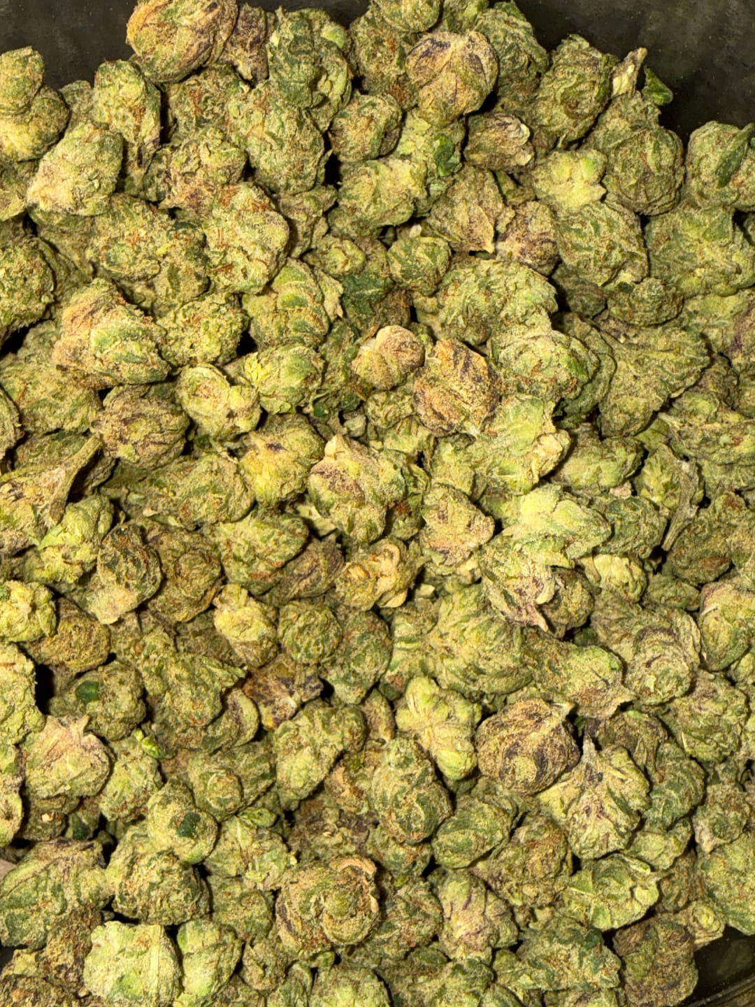 Customer photo review of Baja Blastroids (Indoor Smalls) – Bulk THCA Flower 1 lb