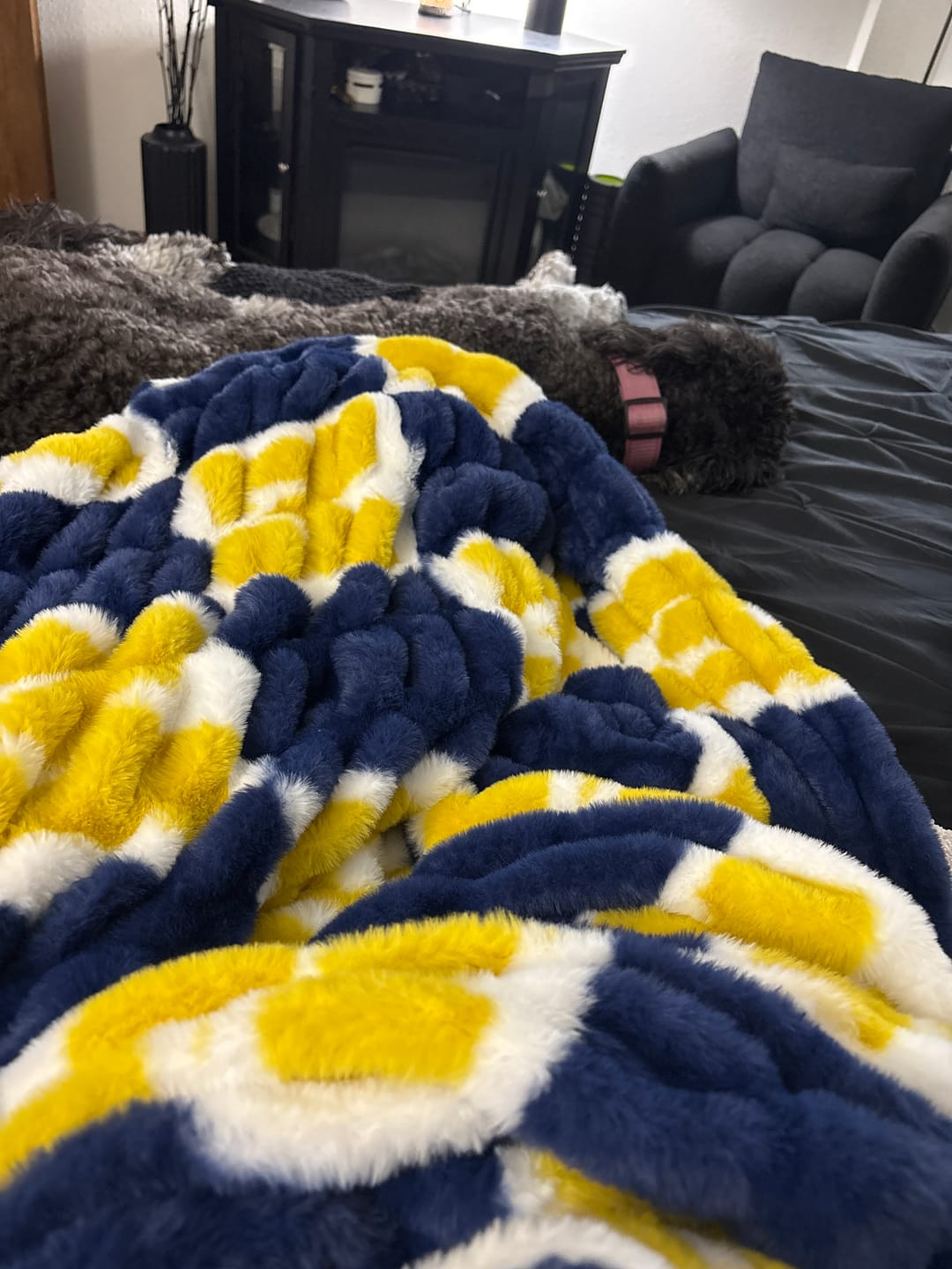 Customer photo review of University of Michigan Wolverines Blanket - Hugs