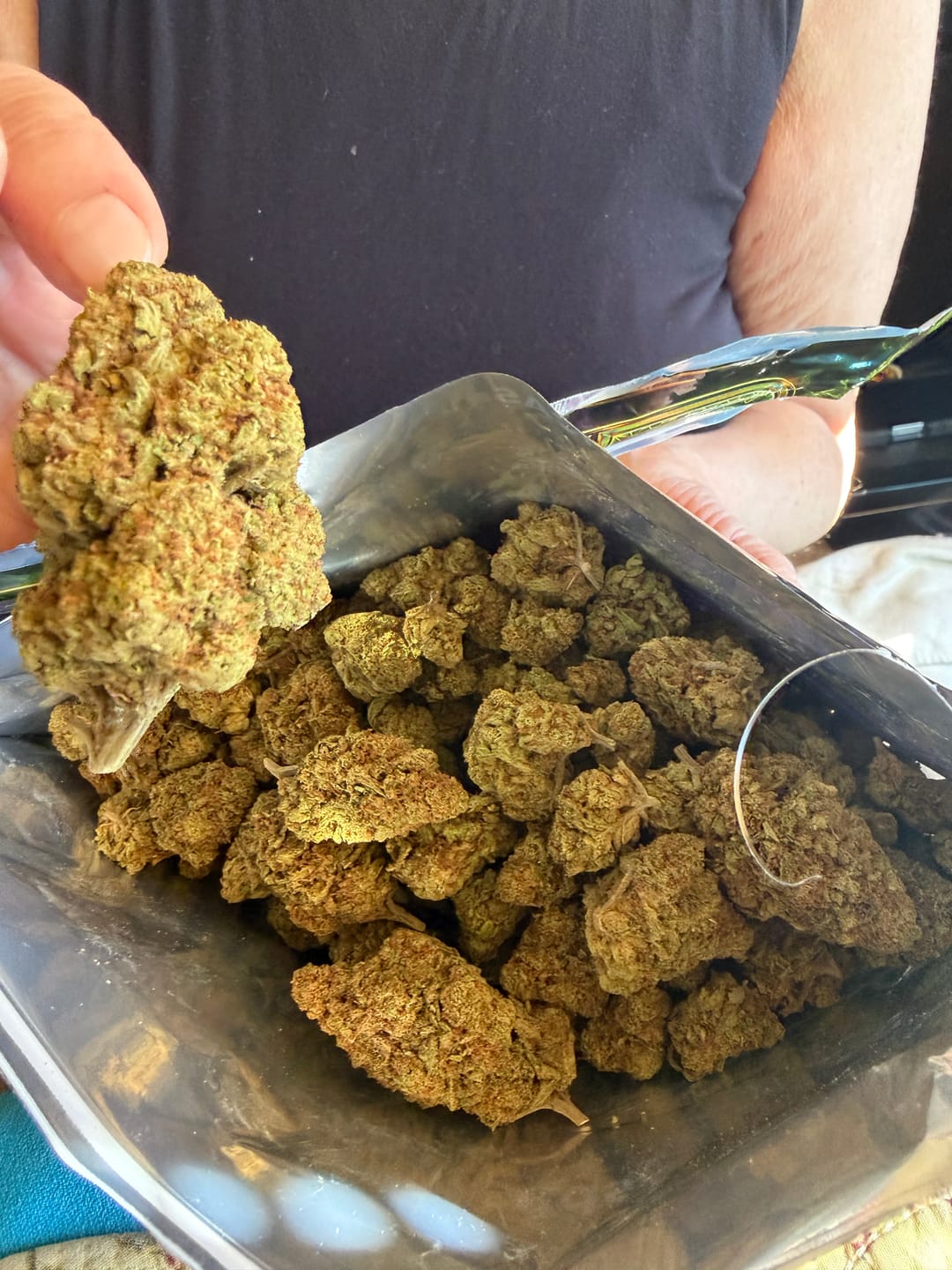 Customer photo review of Snake Venom THCA Flower