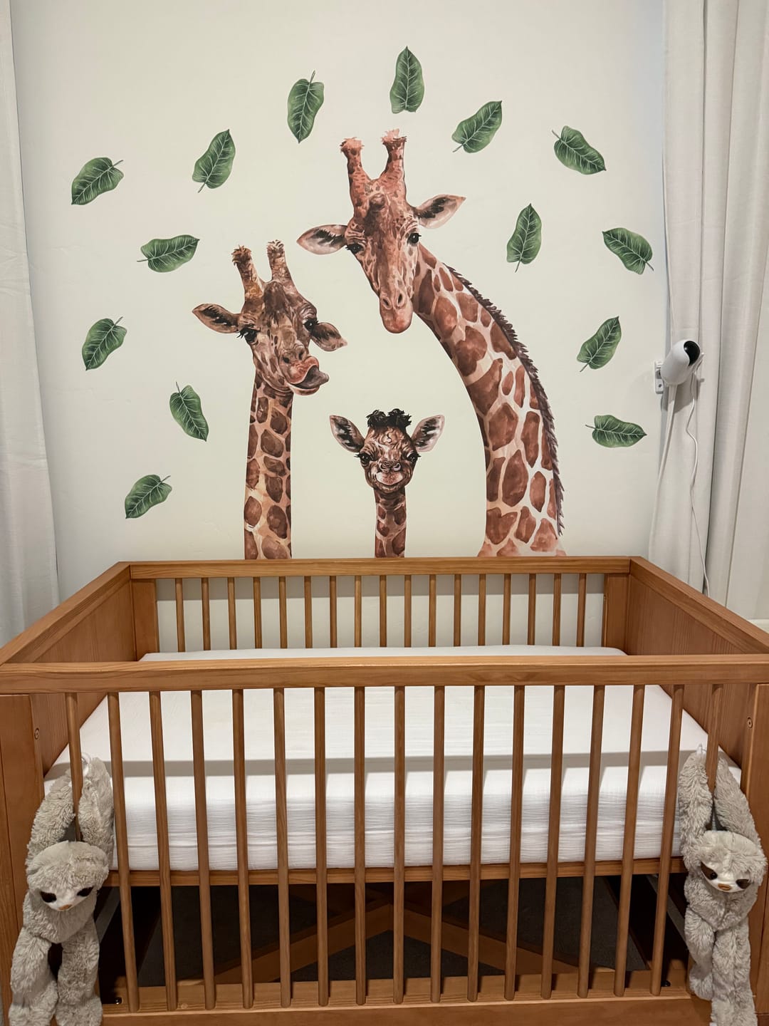 Customer photo review of Giraffe Family — Watercolor Safari Nursery Wall Decal