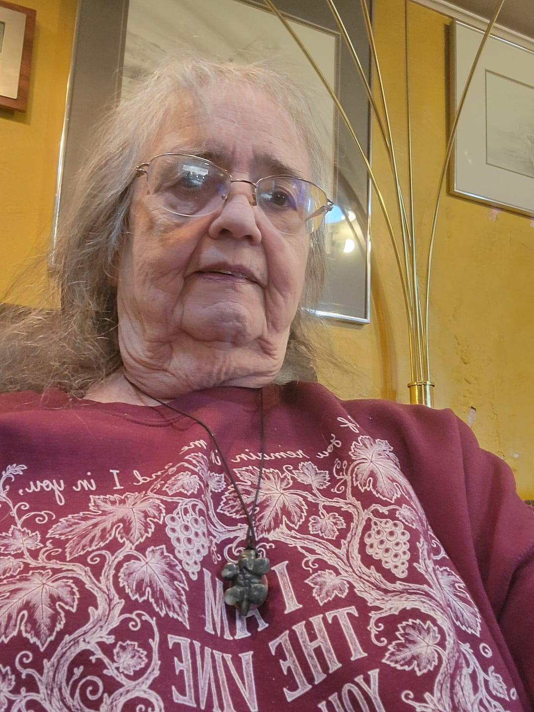 Customer photo review of I Am The Vine Sweatshirt