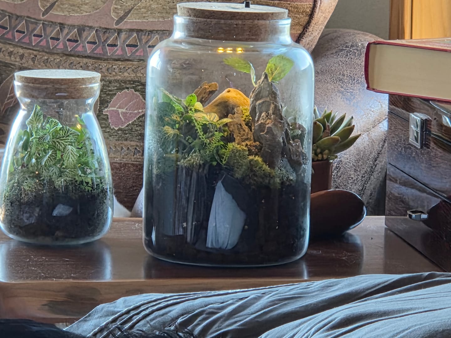 Customer photo review of Light Up Terrarium Kit