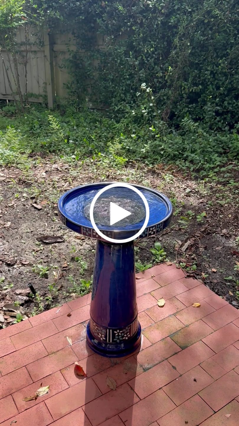 Customer video review of Cobalt Bloom Solar Birdbath