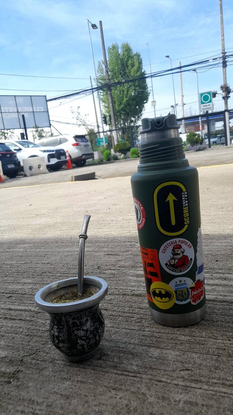 Customer photo review of Mate System Ideal Dried Pine | 800 ml