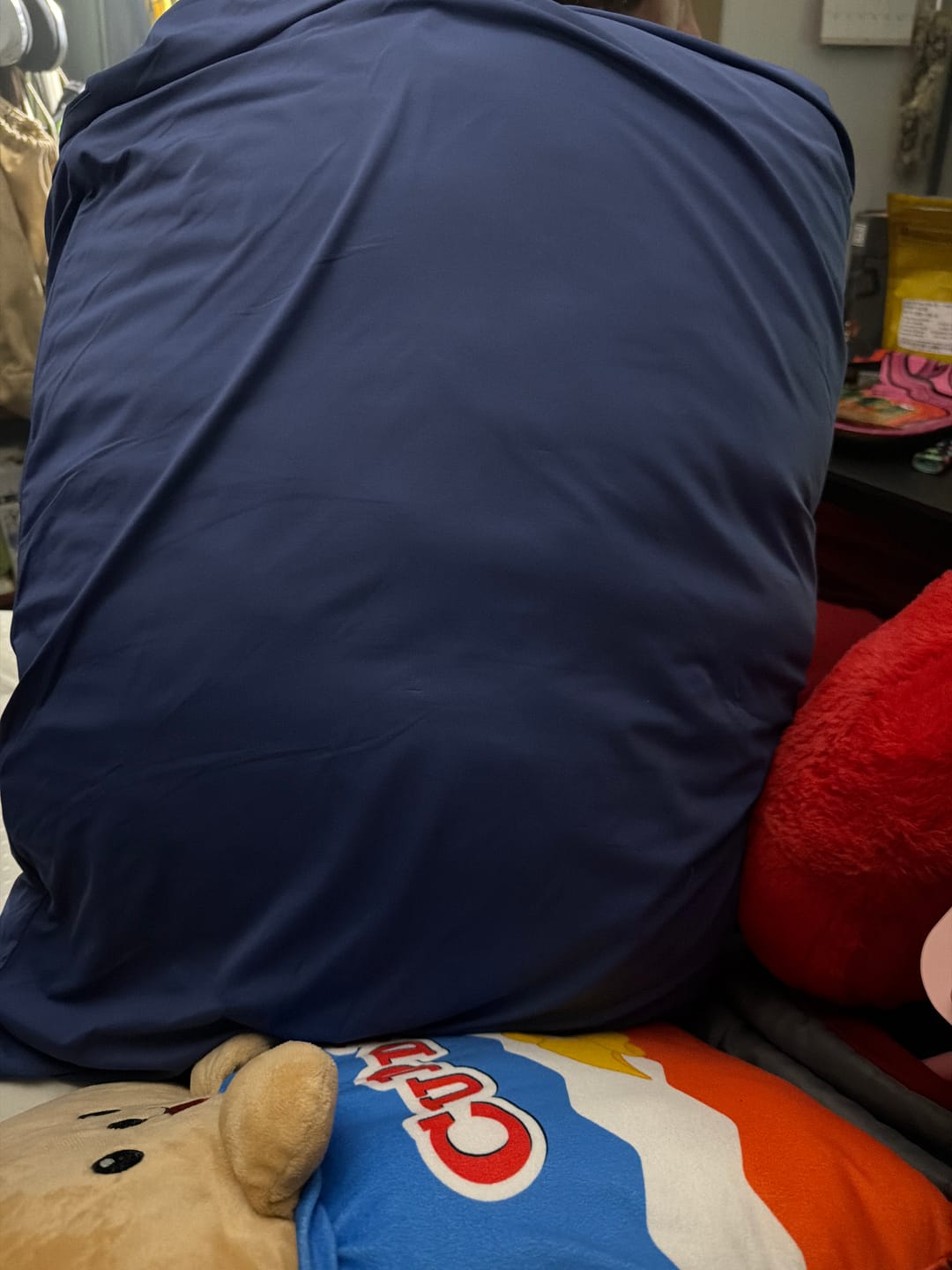 Customer photo review of Puff Pillow