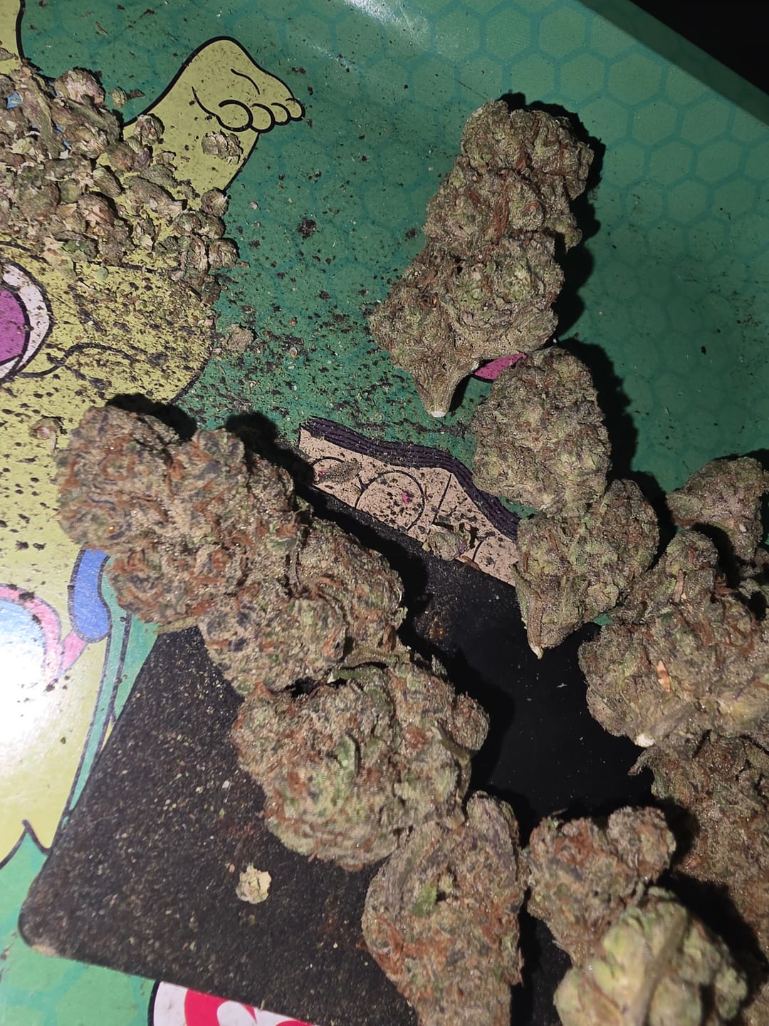 Customer photo review of Karat Cake THCA Flower