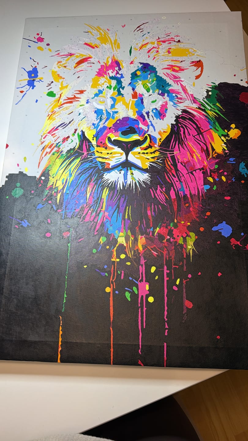 Customer photo review of Malen nach Zahlen - Colorfoul Lion - Premium Painting