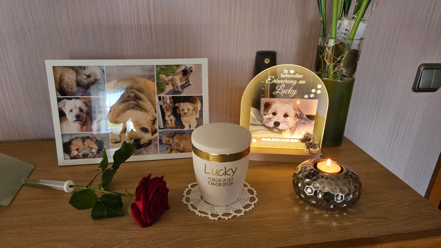 Customer photo review of Zur liebevollen Erinnerung – LED-Lampe für Hund/Katze