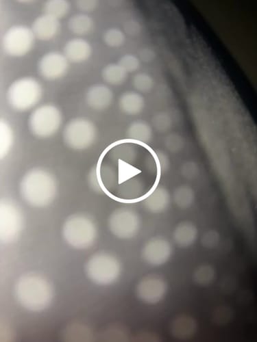 Customer video review of EVERYDAY PANT