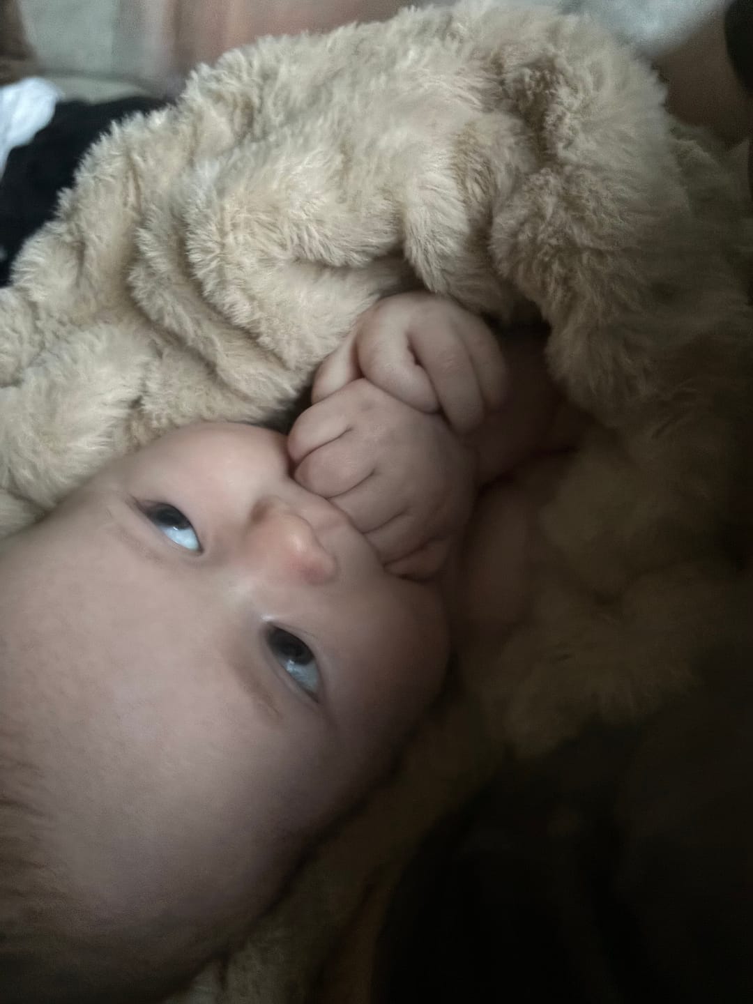 Customer photo review of Hugs Light Sand Blanket