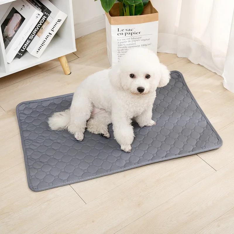 Customer photo review of Empapador Lavable Nuvira