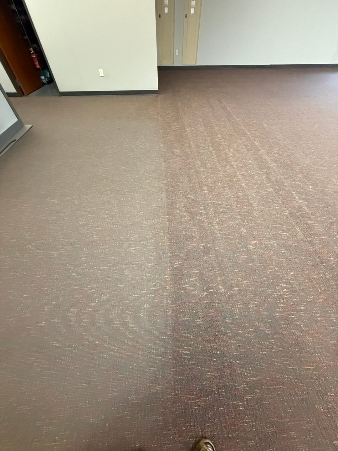 Customer photo review of FiberPlus MAX Carpet Cleaning Pads 8 inch (Case of 15) Commercial Carpet Cleaning Supplies (for 19" Cimex)